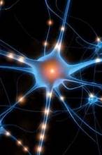 neuronas 5.jpg