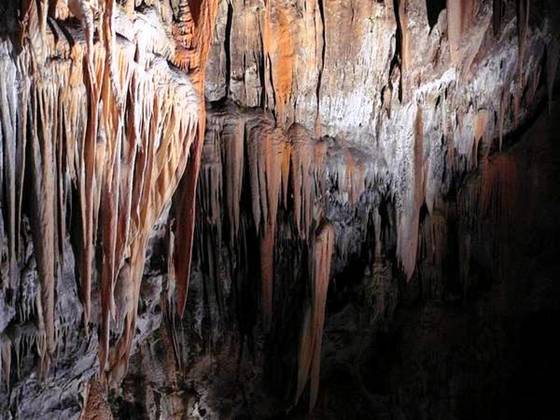 cueva de eslovenia.jpg