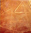 araña nazca.png