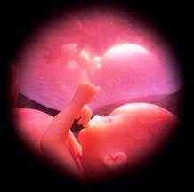 feto-30-semanas.jpg