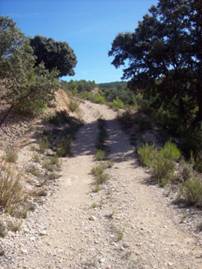 Camino a Sol y Luna