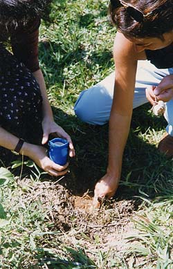 http://www.planetabenitez.com/lado/Lado5/muestras.jpg