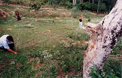 http://www.planetabenitez.com/lado/Lado5/triangulo.jpg